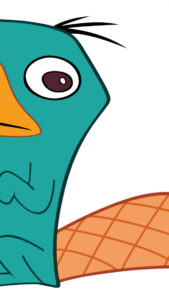 Download perry the platypus wallpaper HD