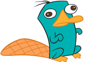 Download perry the platypus wallpaper HD