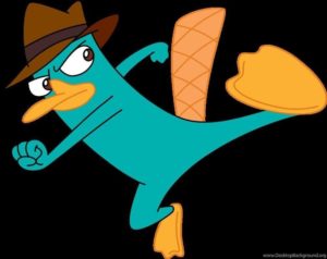 Top perry the platypus wallpaper Download