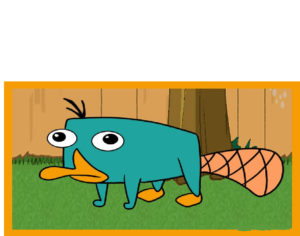 Download perry the platypus wallpaper HD