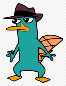 Download perry the platypus wallpaper HD