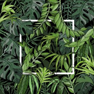 Top plant background 4k Download