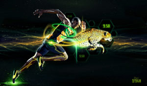 Download running cheetah live wallpaper HD