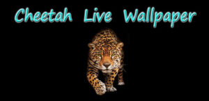 Top running cheetah live wallpaper HD Download