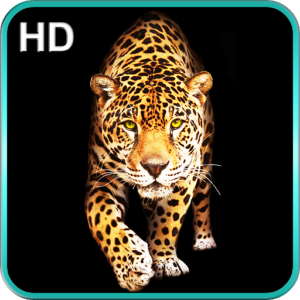 Download running cheetah live wallpaper HD