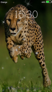 Top running cheetah live wallpaper free Download