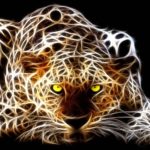 Top running cheetah live wallpaper 4k Download