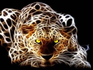 Top running cheetah live wallpaper 4k Download