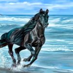 Top running horse hd wallpaper for mobile HD Download