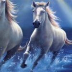 Top running horse hd wallpaper for mobile free Download