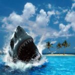 Download shark desktop background HD