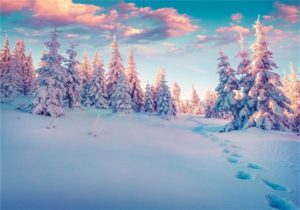 Download snow background images HD