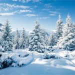 Download snow background images HD