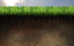 Download soil wallpaper HD