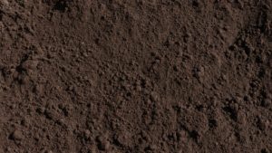 Download soil wallpaper HD