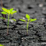 Top soil wallpaper 4k Download