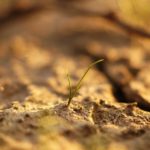 Download soil wallpaper HD