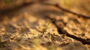 Download soil wallpaper HD