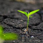 Top soil wallpaper free Download