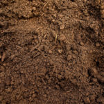 Download soil wallpaper HD