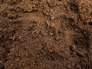 Download soil wallpaper HD