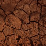 Top soil wallpaper Download