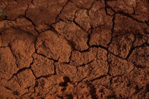 Top soil wallpaper Download