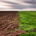 Top soil wallpaper free Download