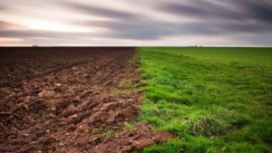 Top soil wallpaper free Download