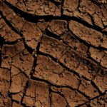 Download soil wallpaper HD