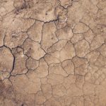 Top soil wallpaper 4k Download