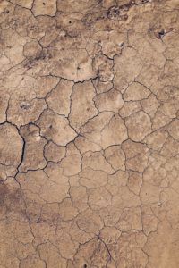 Top soil wallpaper 4k Download