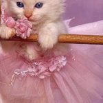 Top sweet cute wallpapers HD Download