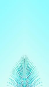 Top teal iphone wallpaper HD Download