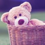 Download teddy bear download wallpaper HD