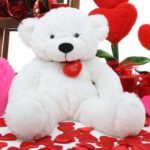 Download teddy bear download wallpaper HD