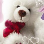 Download teddy bear download wallpaper HD