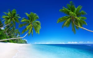 Top wallpaper beach background 4k Download