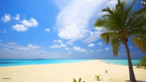 Top wallpaper beach background HD Download