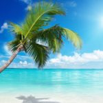 Top wallpaper beach background free Download