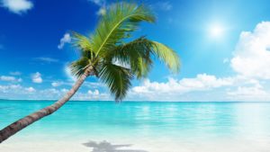 Top wallpaper beach background free Download