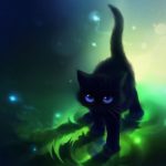 Top warrior cats wallpaper 4k Download