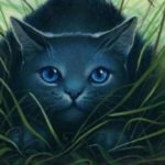 Download warrior cats wallpaper HD