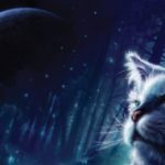 Download warrior cats wallpaper HD