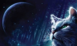 Download warrior cats wallpaper HD