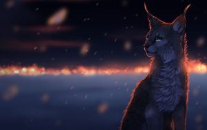 Download warrior cats wallpaper HD