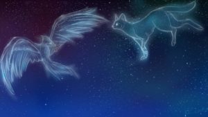 Top warrior cats wallpaper HD Download