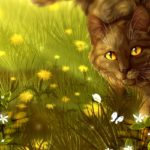 Download warrior cats wallpaper HD