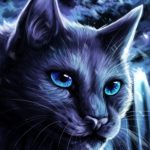 Top warrior cats wallpaper HD Download