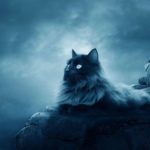 Download warrior cats wallpaper HD